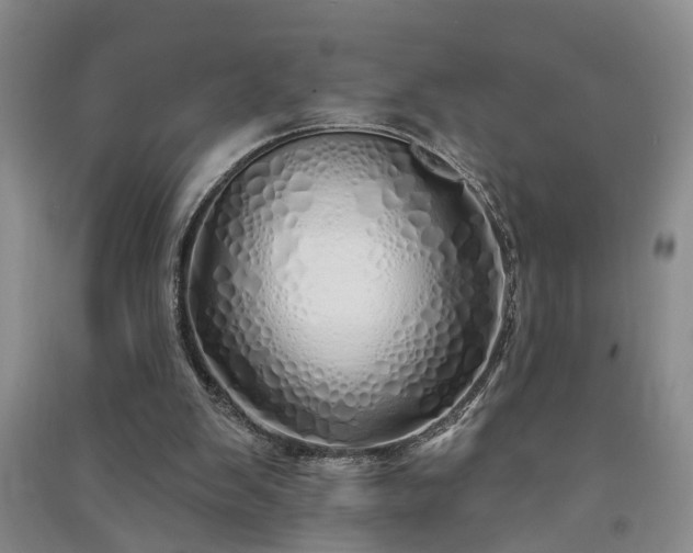 X0000091370103200708171553