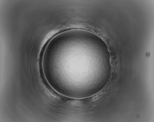 X0000091370104200708171553