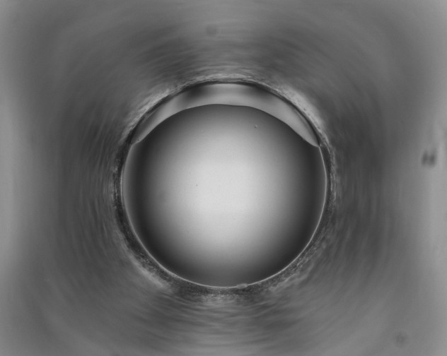 X0000091370105200708171553