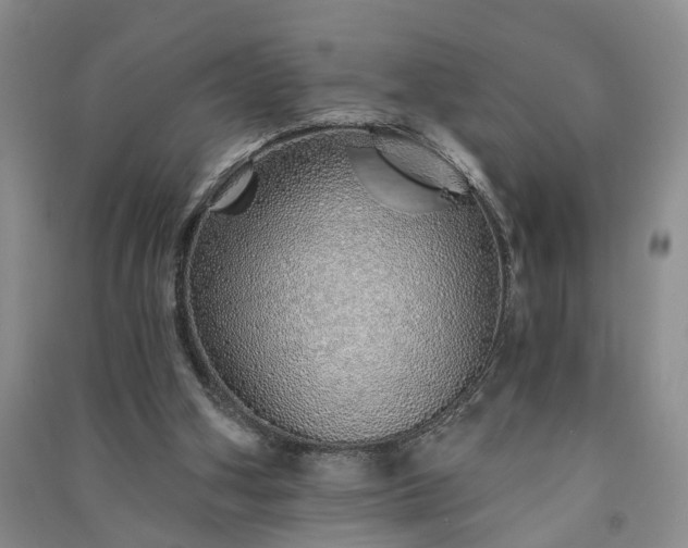 X0000091370106200708171553