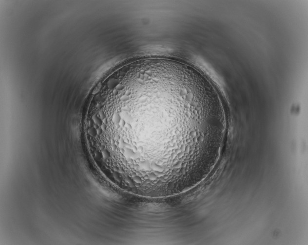 X0000091370107200708171553