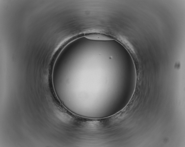 X0000091370108200708171553