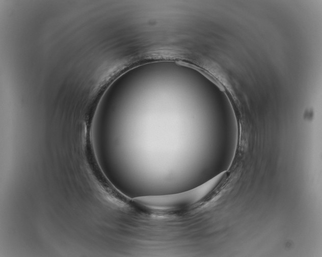 X0000091370109200708171553