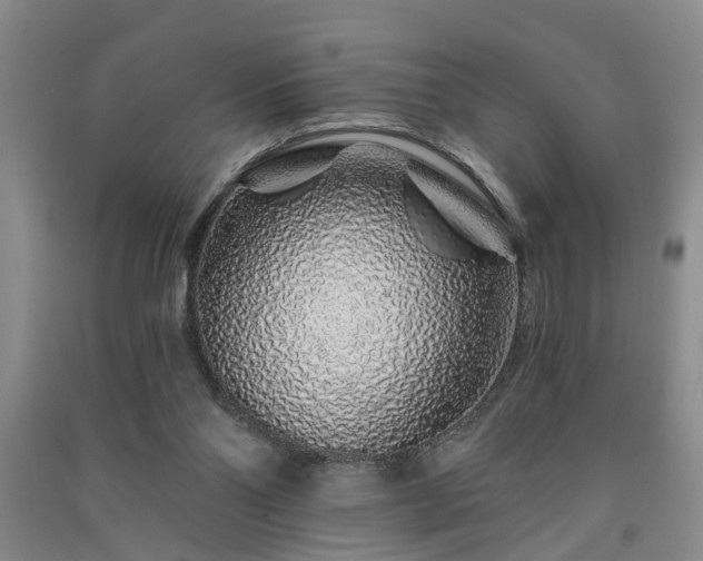 X0000091370110200708171553