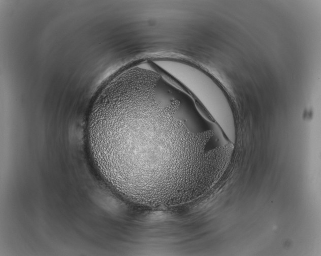 X0000091370111200708171553