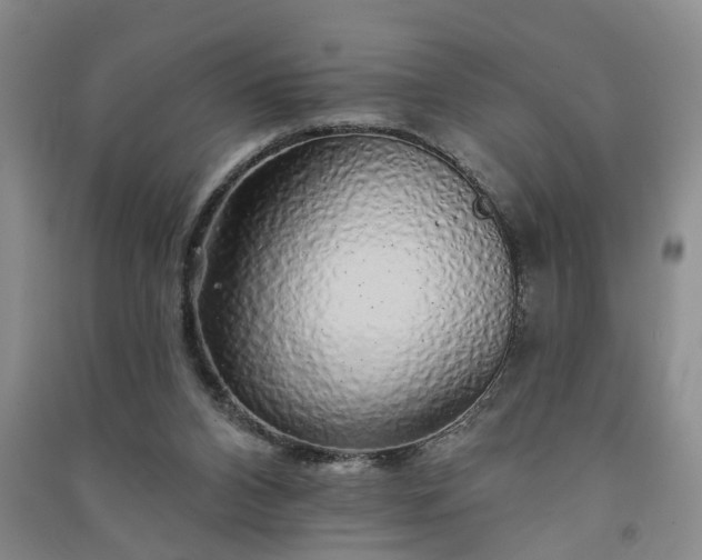 X0000091370112200708171553