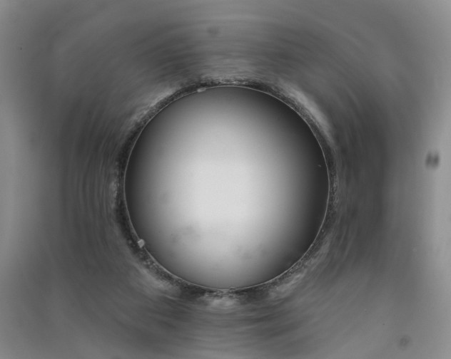 X0000091370113200708171553