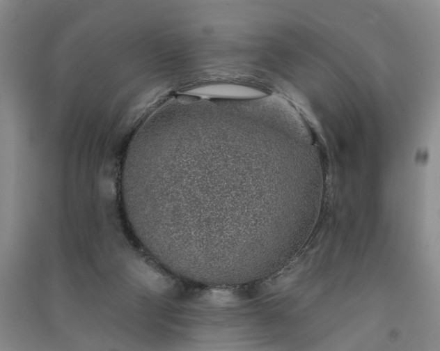 X0000091370114200708171553