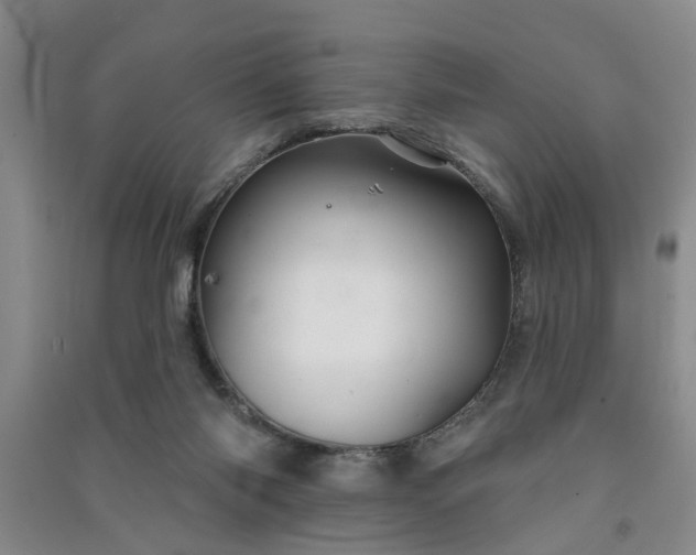 X0000091370118200708171553