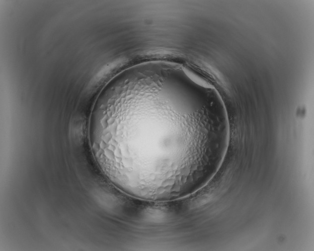 X0000091370119200708171553