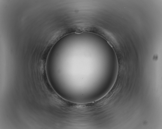 X0000091370121200708171553