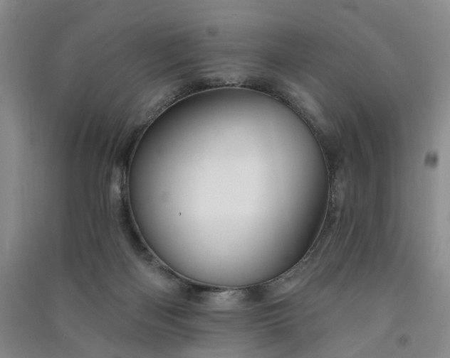 X0000091370122200708171553