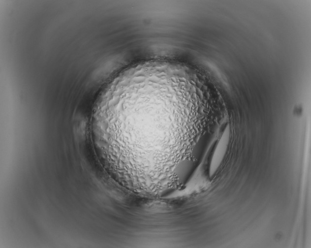 X0000091370123200708171553