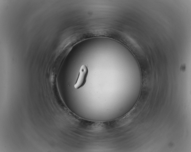 X0000091370124200708171553