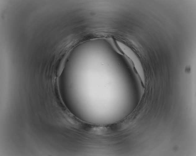 X0000091370125200708171553