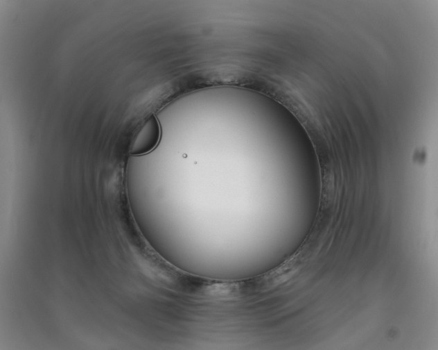 X0000091370126200708171553