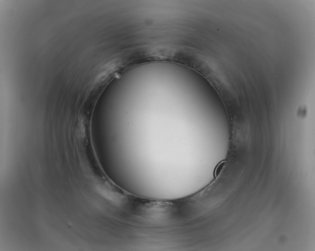 X0000091370128200708171553