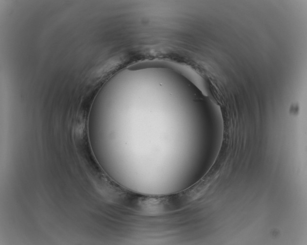 X0000091370129200708171553