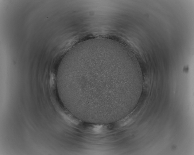 X0000091370130200708171553