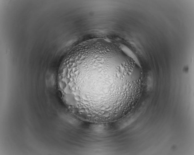 X0000091370131200708171553