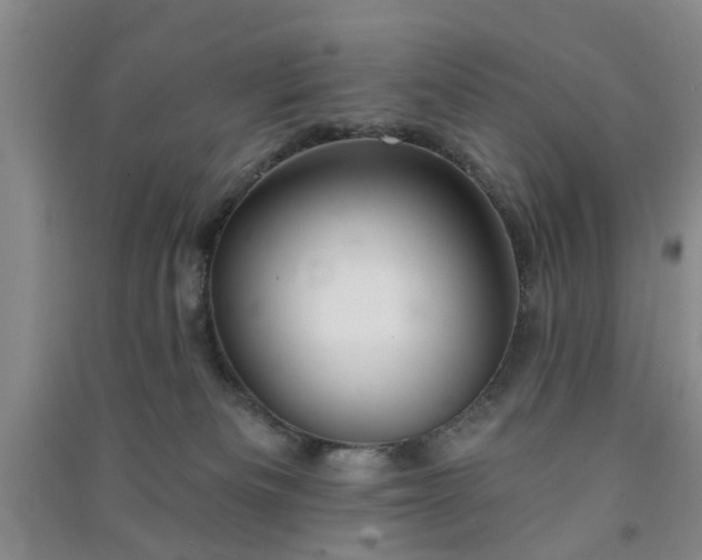 X0000091370133200708171553