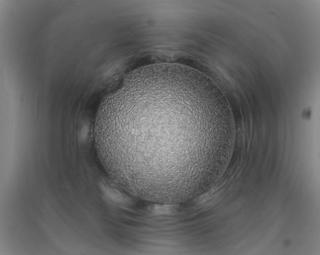 X0000091370134200708171553