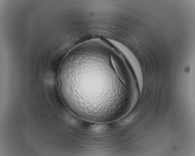 X0000091370135200708171553