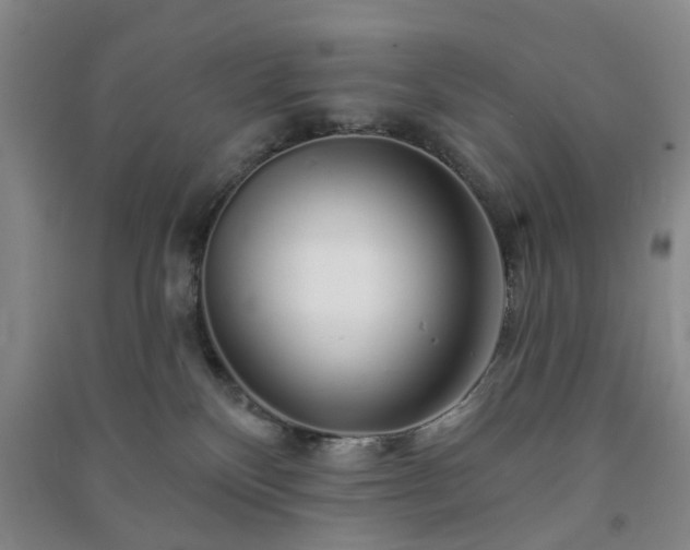 X0000091370136200708171553