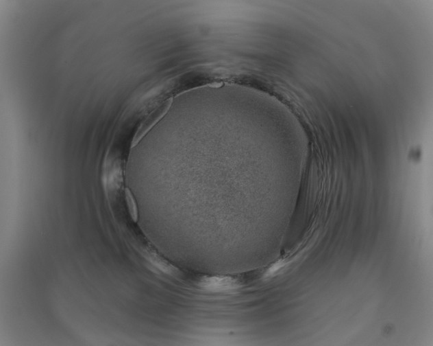 X0000091370137200708171553