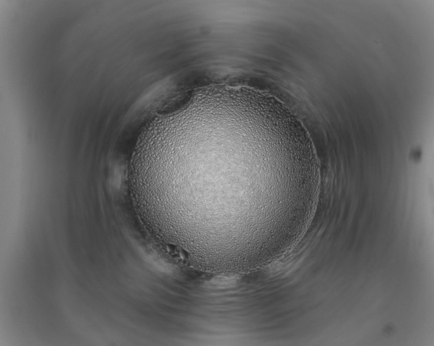 X0000091370138200708171553