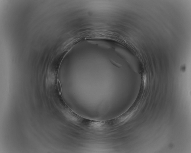 X0000091370139200708171553