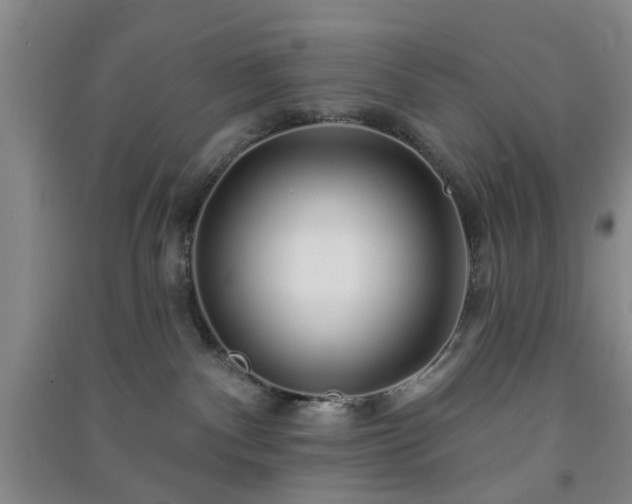 X0000091370140200708171553