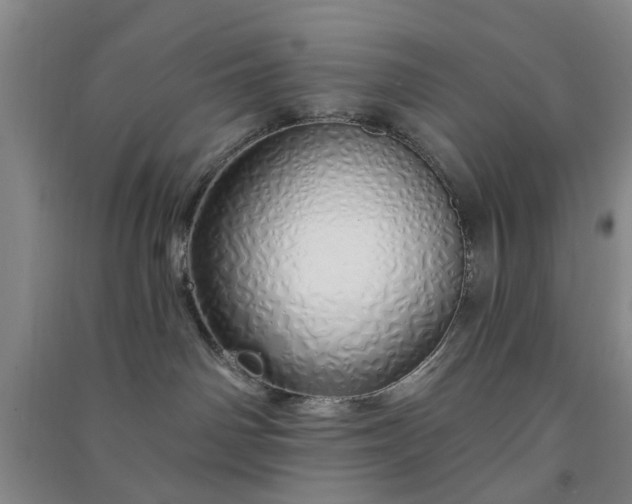 X0000091370142200708171553