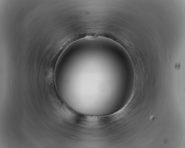 X0000091370144200708171553