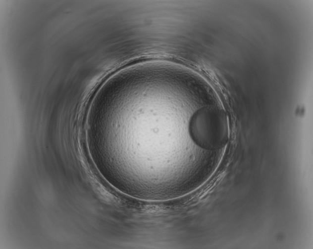 X0000091370145200708171552