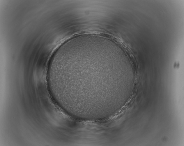 X0000091370146200708171552