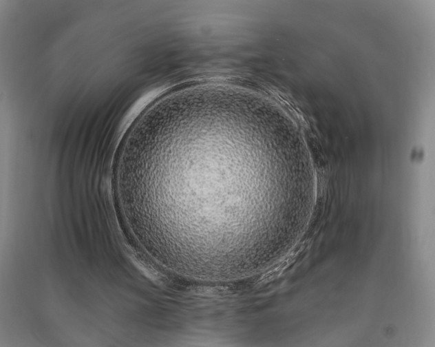 X0000091370147200708171552