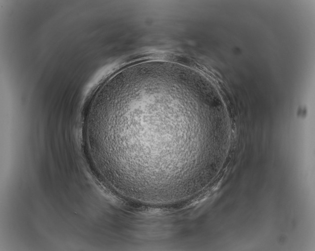 X0000091370149200708171552