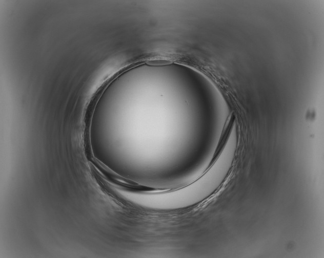 X0000091370150200708171552