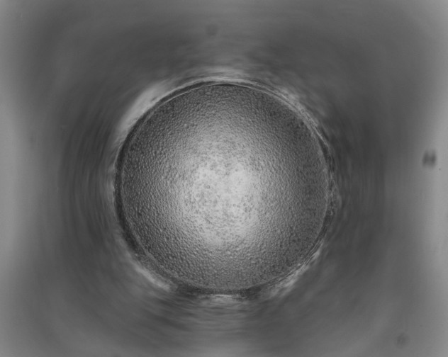 X0000091370151200708171552