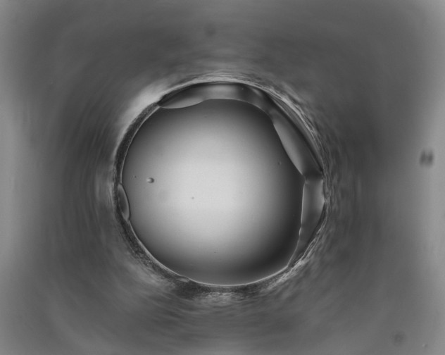 X0000091370152200708171552