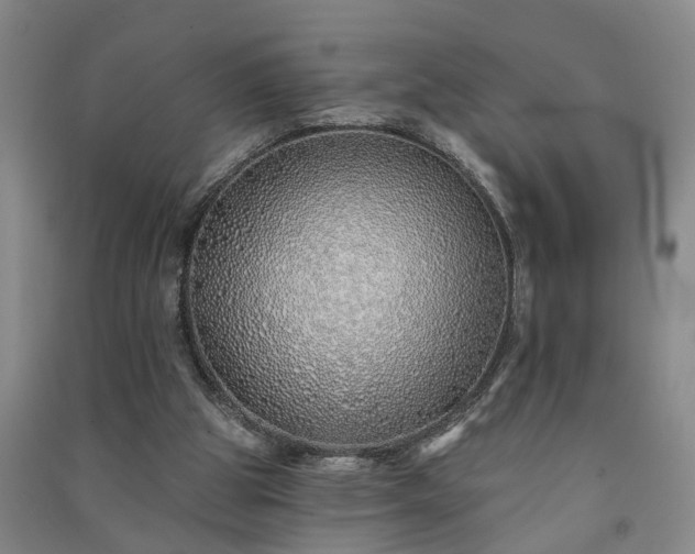 X0000091370153200708171552