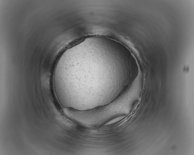 X0000091370154200708171552