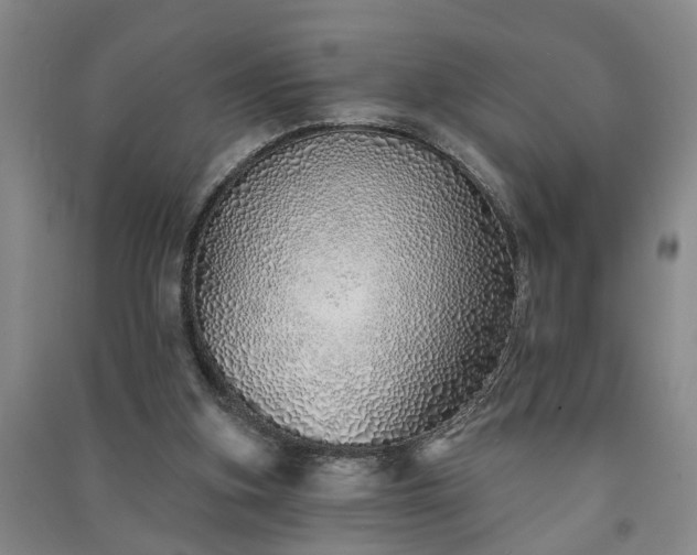 X0000091370155200708171552