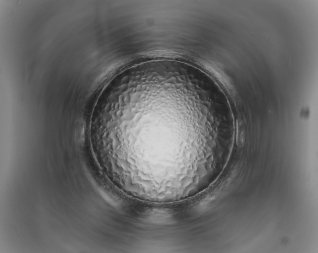 X0000091370157200708171552