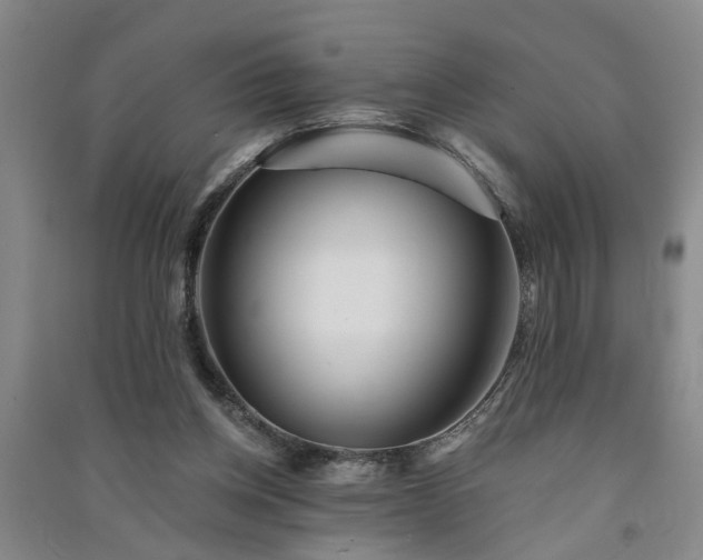 X0000091370158200708171552