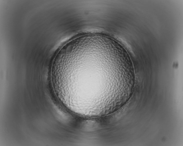 X0000091370159200708171552