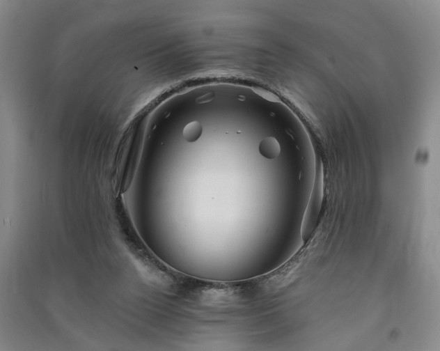 X0000091370160200708171552