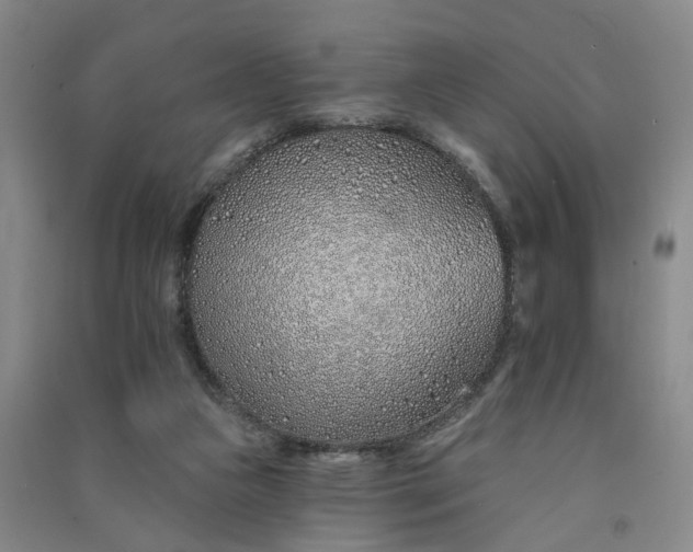 X0000091370161200708171552