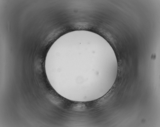 X0000091370162200708171552